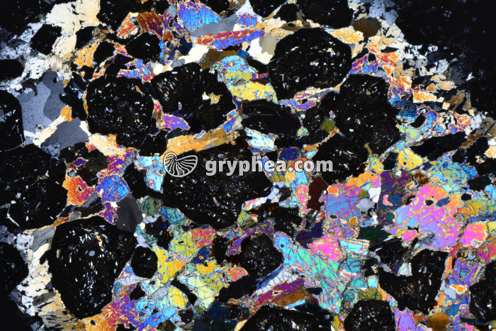 Eclogite LPA x3,5 - gryphea.org